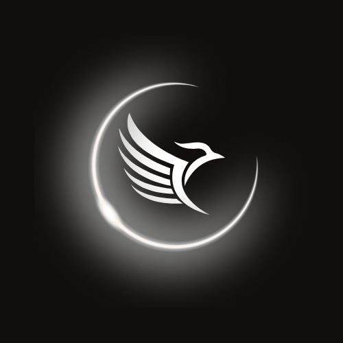 The Shadow Eclipse Era: More Than Sportswear, It’s a Mindset